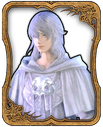 Themis Card