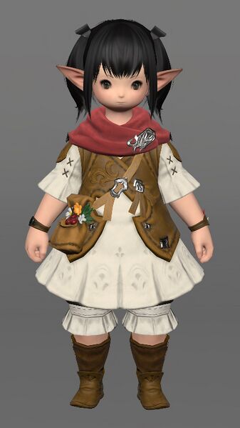 File:Lalafellin Attire F Female.jpeg
