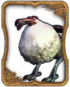 Dodo Card