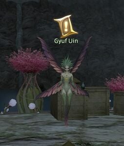 Gyuf Uin