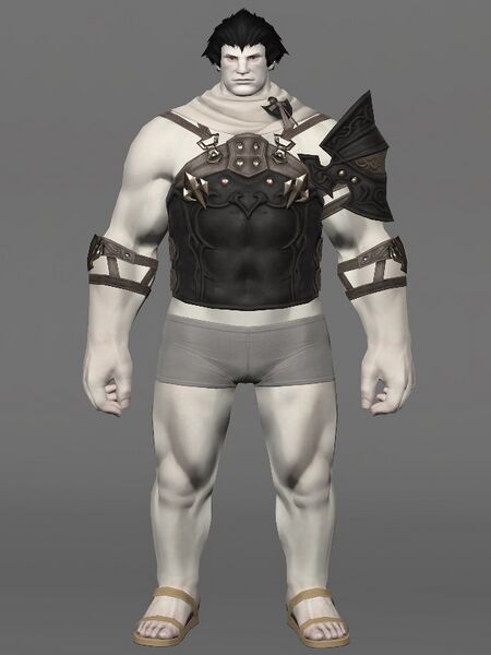 File:Roegadyn Harness Male.jpeg