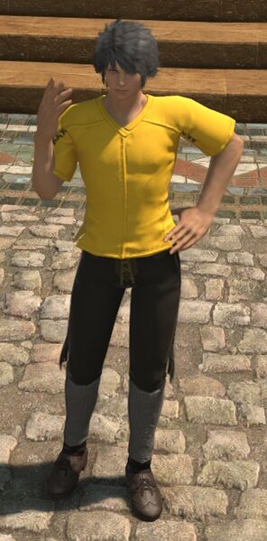 File:Songbirds Fanatic.jpg