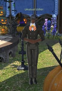 Unusual Usher