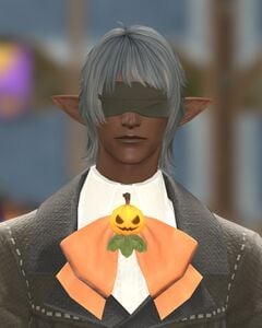 Unusual Usher