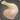 Gastornis thigh icon1.png