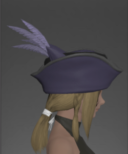 Valkyrie's Tricorne of Striking right side.png