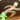 Fleet-footed icon1.png.png