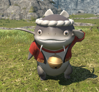 Namazu Cook
