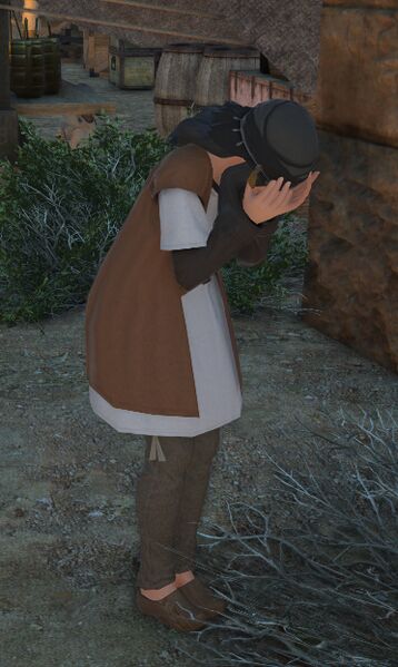File:Arnegis' Wife fullbody.jpg