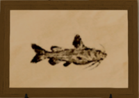 Dwarf Catfish print.png