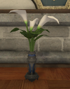 White Arums.png