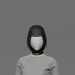 Doctore's Chain Coif