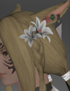 Lakeland Earring of Healing.png