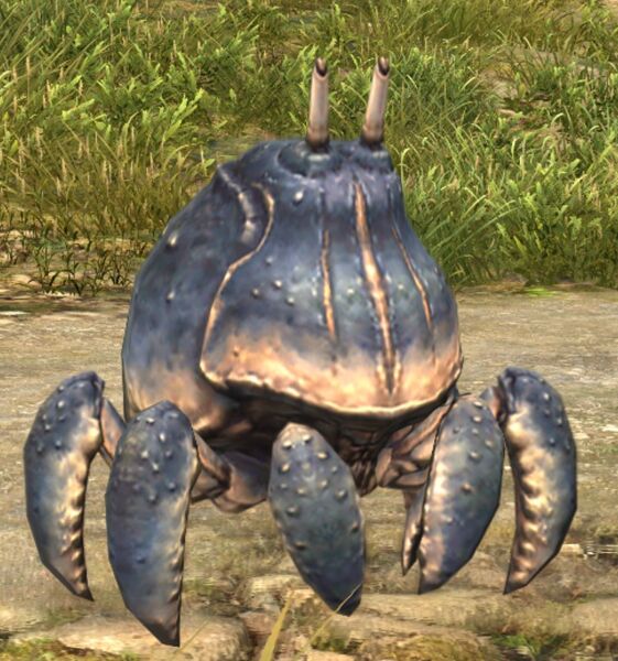 File:Moraby Stoneshell.jpg