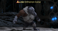 Orthoiron Corse.png