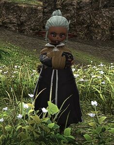 Accompanying Naturalist