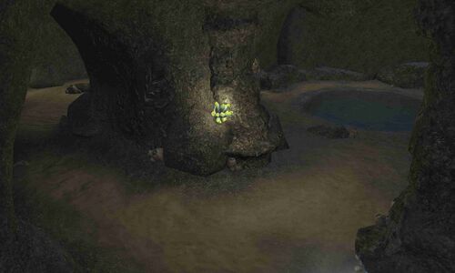 Interior of the cave