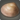 Devotion clam icon1.png