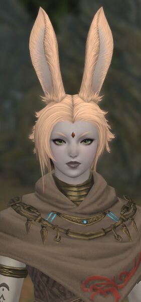 File:Fanow Warder.jpg