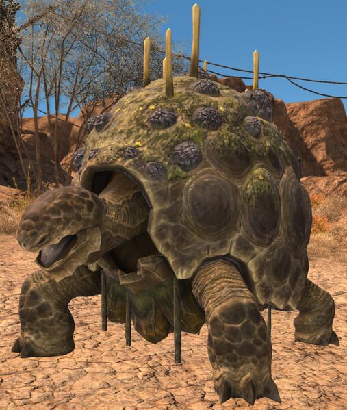 File:Iron Tortoise.jpg