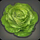 Lettuce Simular