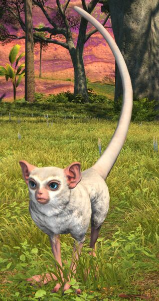 File:Salivating Hanuman Langur.jpg