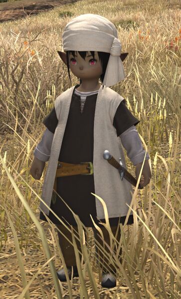 File:Shifty-eyed Merchant.jpg