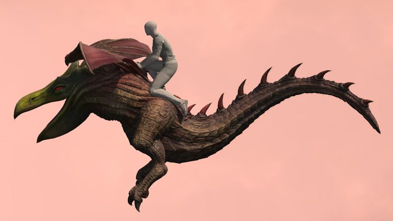 File:Alexandrian Axe Beak flying.jpg