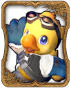 Alpha Card