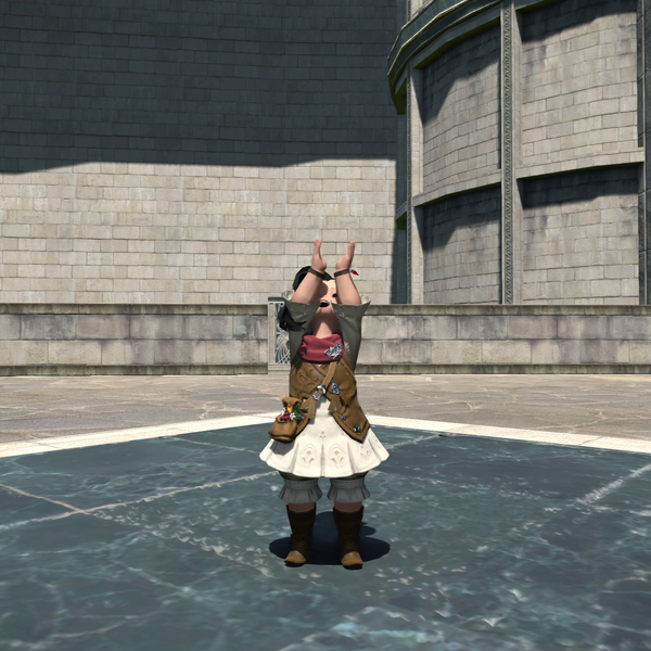 File:Congratulate Emote.png