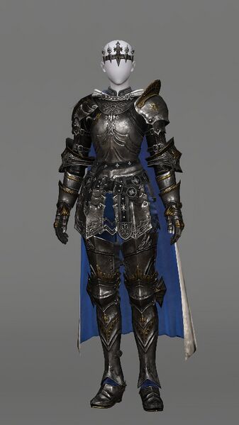 File:Reverence Armor Female.jpeg