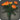 Orange carnations icon1.png