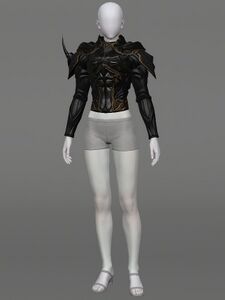 Dark Divinity Herklaedi