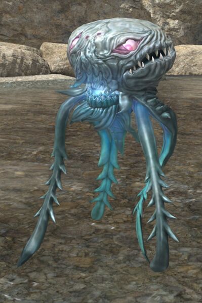 File:Windborne Hydrozoan.jpg