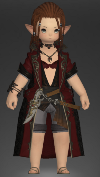 File:Chivalric Coat of Striking 1.png