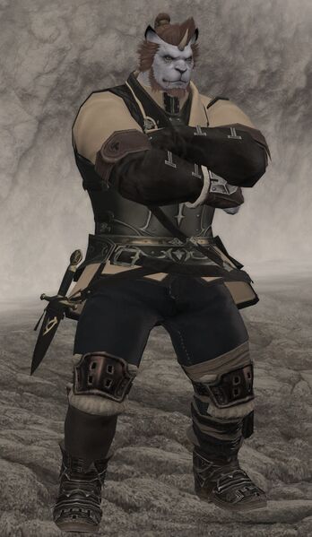 File:Jareck fullbody.jpg