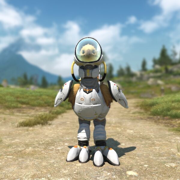 File:Cosmic Barding Front.jpeg