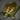 Greatfrond Turtle