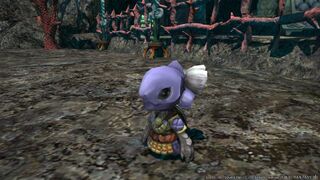 How to get waterproof cotton. : ffxiv