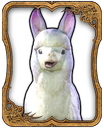 Alpaca Card