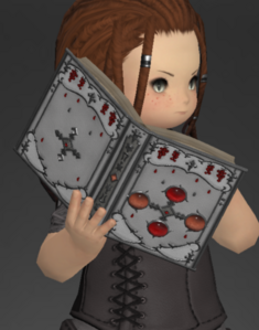 Historia Codex (outside) (Scholar)