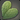 Nopal