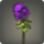 Purple chrysanthemums icon1.png