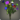 Rainbow morning glories icon1.png