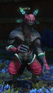 Ruvoll Ja, a Doppro male