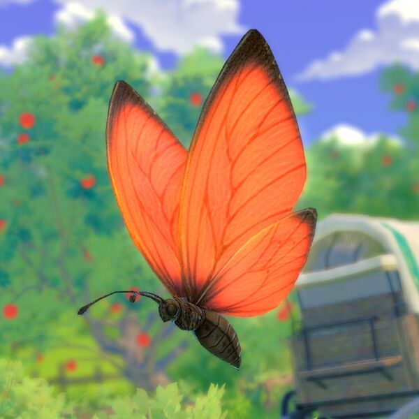 File:Shrouded Lady (orange).jpeg