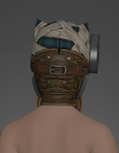 Wake Doctor's Mask rear.png