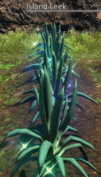 File:Island Leek Mature.png