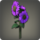Purple sunflowers icon1.png