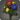 Rainbow dahlias icon1.png